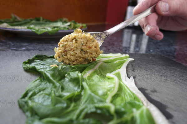 Swabian cuisine, preparing tree frogs, filling Swiss chard, teaspoon, cooking, cooking vegetables,