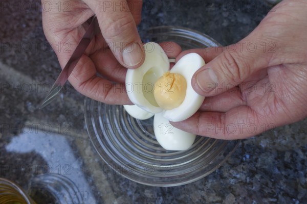 Southern German cuisine, preparation of aioli, garlic cream, mayonnaise, remove egg yolk from egg