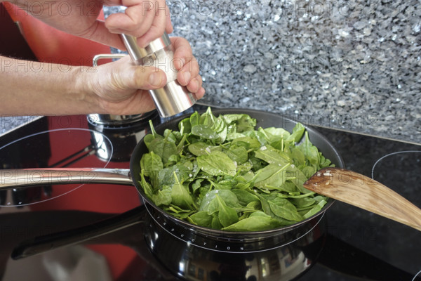 Southern German cuisine, preparation of spinach, pan, salt mill, seasoning, sauté, stove, ceramic