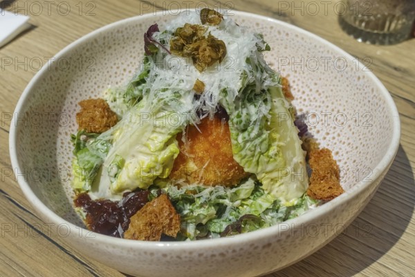 Baked burrata served on plate, breaded mozzarella, starter, vegetarian, salad hearts, green lettuce