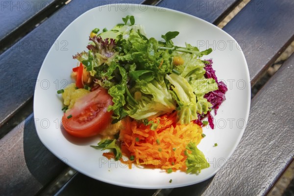 Small colorful salad, starter salad, tomato, grated carrot, green lettuce leaves, red cabbage,
