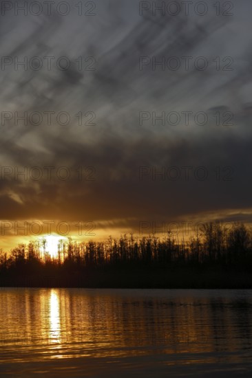Dramatic sunset with dark sky and golden reflections, Peenetal nature park Park,