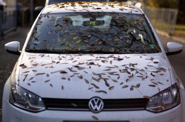 Windshield, car, vehicle, Volkswagen, VW, is full of leaves, autumn leaves, autumn, Stuttgart,