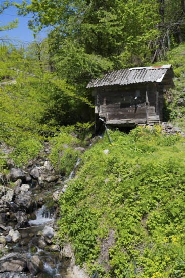 A small stream flows next to a wooden hut, which stands amidst lush green vegetation, old Adjarian