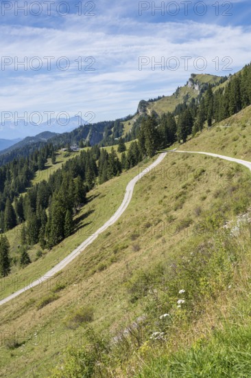 Wanderweg am Brauneck, Wegkreuzung, Bavarian Prealps, Isarwinkel, Lenggries, Upper Bavaria,