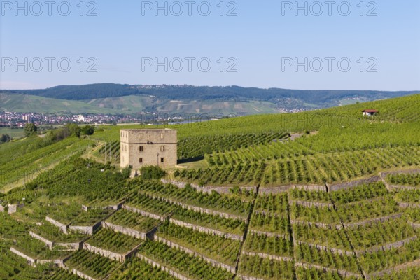 Close-up of a building surrounded by green vineyard terraces, Y-Burg, Stetten im Remstal,