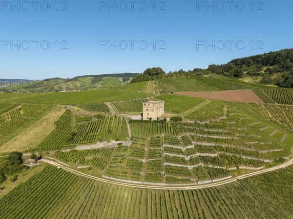 Green terraced vineyards with an old building in the center, Y-Burg, Stetten im Remstal,