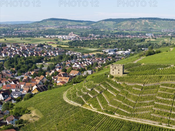View of vineyards, a stone house and a village against a hilly backdrop, Y-Burg, Stetten im