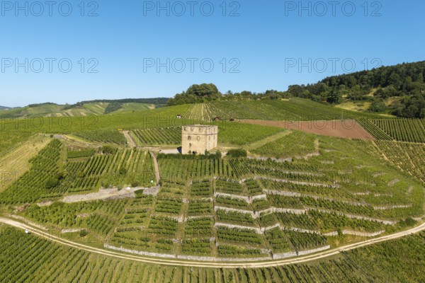 A stone house surrounded by sunny vineyards and green hills, Y-Burg, Stetten im Remstal,