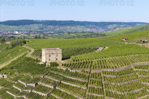 The stone house is surrounded by extensive vineyards in hilly surroundings, Y-Burg, Stetten im