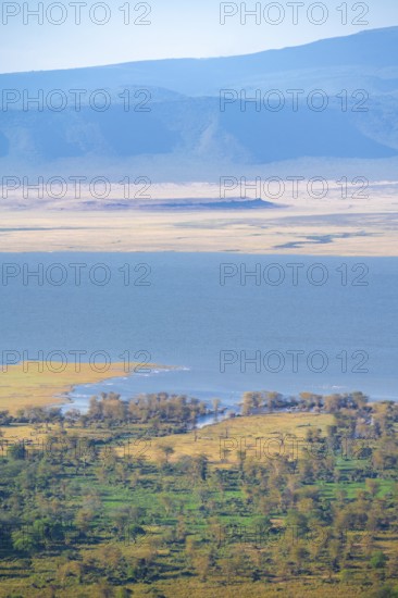 View of savanna landscape and Magadi Lake in the Ngorongoro Crater in the evening light, Ngorongoro
