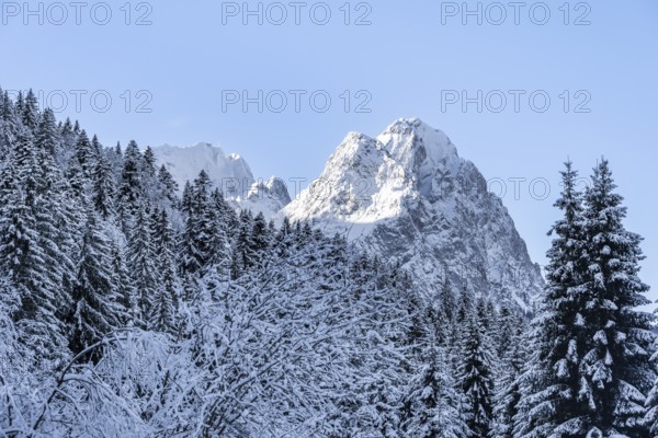 View of snowy forest and Waxenstein summit, in winter, Wetterstein Mountains,