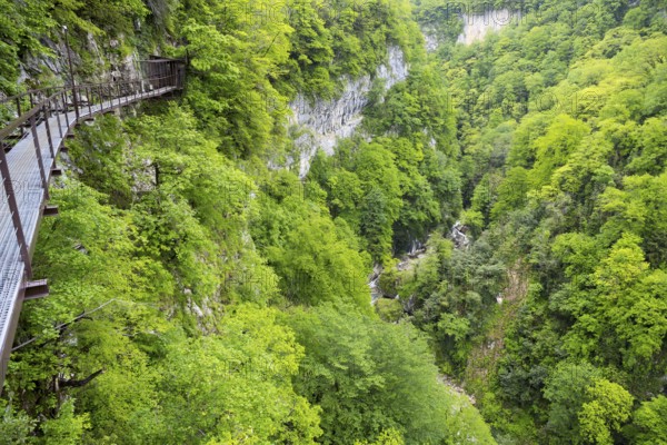 Metal walkway in a forest gorge with lush green trees, Okatse gorge, canyon, Imereti region,