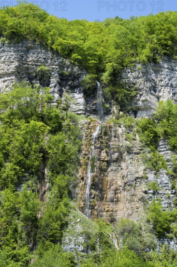 Small waterfall flows over a steep rock face surrounded by green forest, Okatse waterfall, Kinchkha