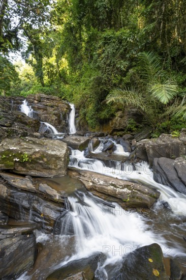 Derema Waterfall flows through thick vegetation, tropical rainforest in Amani Nature Forest