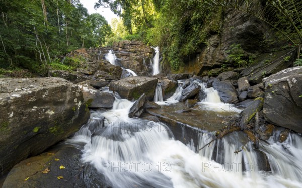 Derema Waterfall flows through thick vegetation, tropical rainforest in Amani Nature Forest