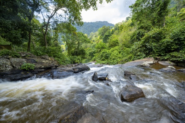 Waterfall flows through thick vegetation, tropical rainforest in Amani Nature Forest Reserve, long