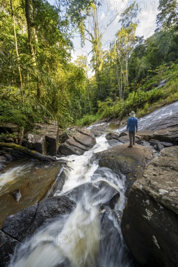 Tourist at Derema Waterfall, flowing through thick vegetation, tropical rainforest in Amani Nature