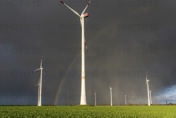 Königshovener Höhe onshore wind farm, on the A44 motorway near Bedburg, in front of the Jackerath