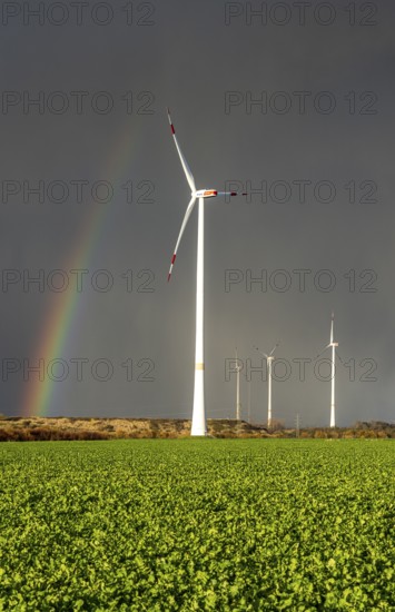 Königshovener Höhe onshore wind farm, on the A44 motorway near Bedburg, in front of the Jackerath