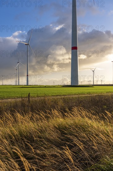 Bedburg A 44n onshore wind farm, on the A44 motorway near Bedburg, in front of the Jackerath