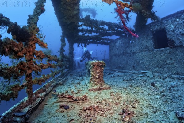 Diver explores Rosalie Moller wreck, shipwreck, British, sunk in World War II on 08.10, 1941 by two