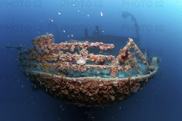 Rosalie Moller wreck, shipwreck, British, stern, sunk in World War II on 08.10, 1941 by two German