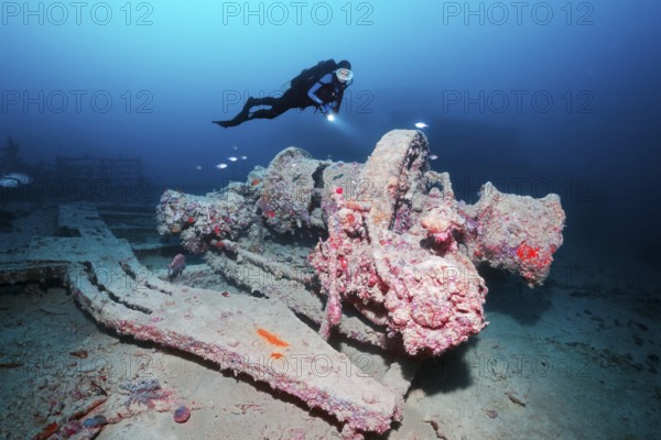 Diver, diver looking at Ankewinde, Rosalie Moller wreck, shipwreck, British, sunk in World War II