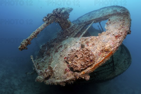 Stern with gun platform and 40mm gun, British, shipwreck, wreck, steamship, SS Thistlegorm,