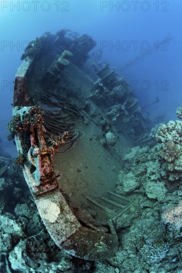 Bow in the coral reef of MS Khanka, also known as Russian wreck, named SSV (Sudno Svyazyy) on the