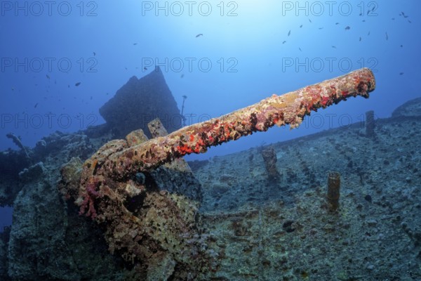 Gun platform and 40mm gun, British, shipwreck, steamship SS Thistlegorm, ammunition freighter,