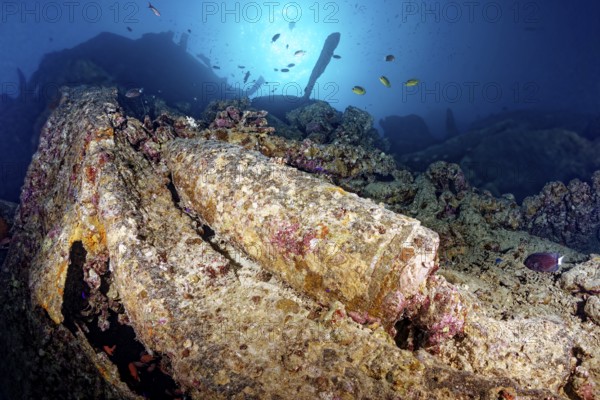 Grenade, bullet for heavy gun, British, in shipwreck, wreck, steamship SS Thistlegorm, ammunition