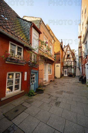 Colourful houses with shops and half-timbered houses in a small alley, picturesque district with