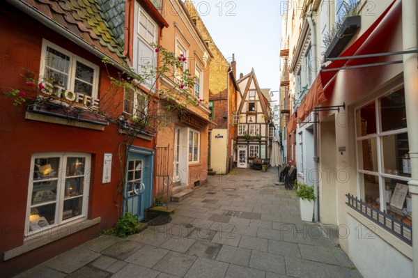 Colourful houses with shops and half-timbered houses in a small alley, picturesque district with