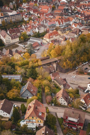 Bird's eye view of a residential area with numerous trees and houses in an autumnal atmosphere,