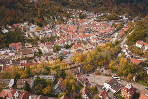 Bird's eye view of a picturesque urban landscape surrounded by forest and autumn colors, Calw,