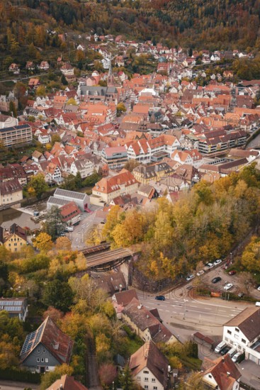 Panoramic view of a historic town with red-brick roofs and autumnal forest in the background, Calw,