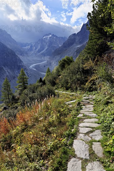 Hiking trail in autumn-colored surroundings with the Mer de Glace glacier, Mont-Blanc,