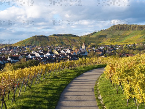 Path through vineyards leads to a village with church tower, surrounded by hills, autumn,