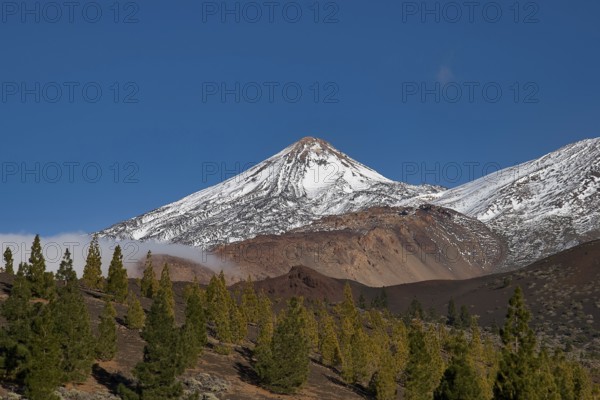 Snow-capped Teide volcano with surrounding forest and blue sky, UNESCO World Heritage Site, Teide