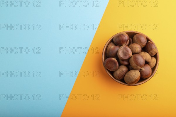 Wooden bowl with raw edible ?hestnuts on blue and orange paper pastel background, top view, flat