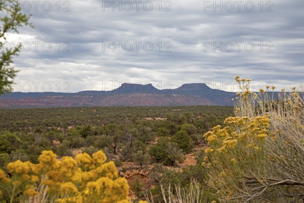 Bears Ears National Monument, Utah - The two buttes that give the National Monument its name are