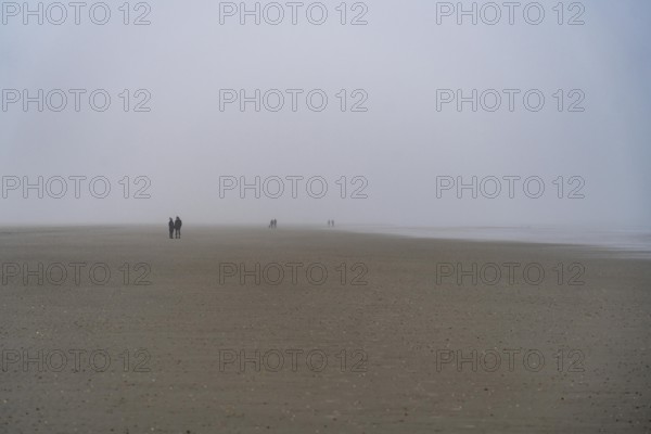 Walkers on the mudflats, in thick fog, near the East Frisian island of Spiekeroog, west of the