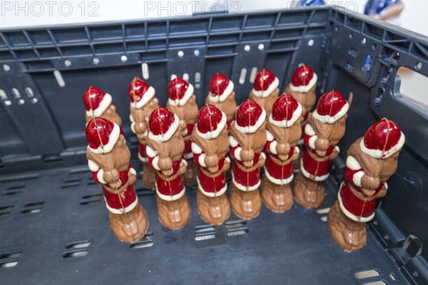 Several red and white chocolate Santa Claus figures on a plastic pallet, Christmas baking,