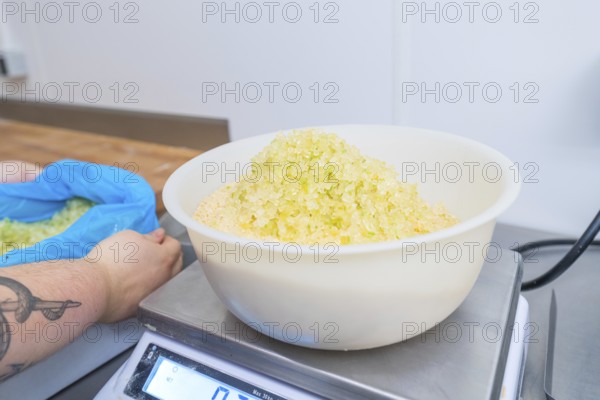 Person holding bags while bowl of sugar is on the scale in a kitchen, Christmas baking,