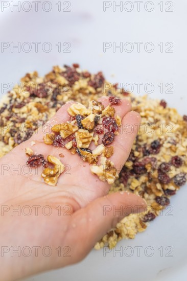 A hand holding a mix of nuts and berries in a bowl, Christmas baking, Haselstaller Hof, Wildberg,
