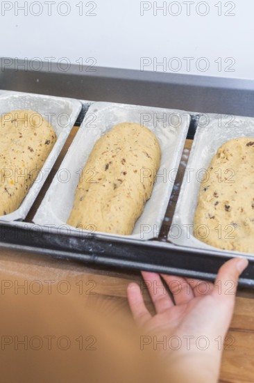 Three loaves of bread dough on a tray, prepared for baking, Christmas baking, Haselstaller Hof,