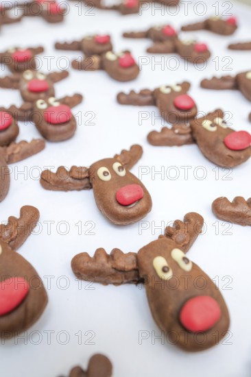 Close-up of chocolate reindeer molds with red noses made of praline chocolate, Christmas baking,