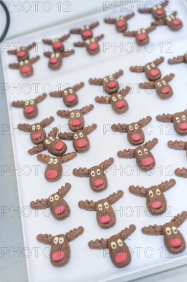 Lots of cute reindeer chocolate chip cookies with red noses arranged on a tray, Christmas baking,