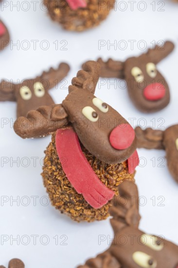 Reindeer shaped chocolate cookie with red nose and white background, Christmas baking, Haselstaller